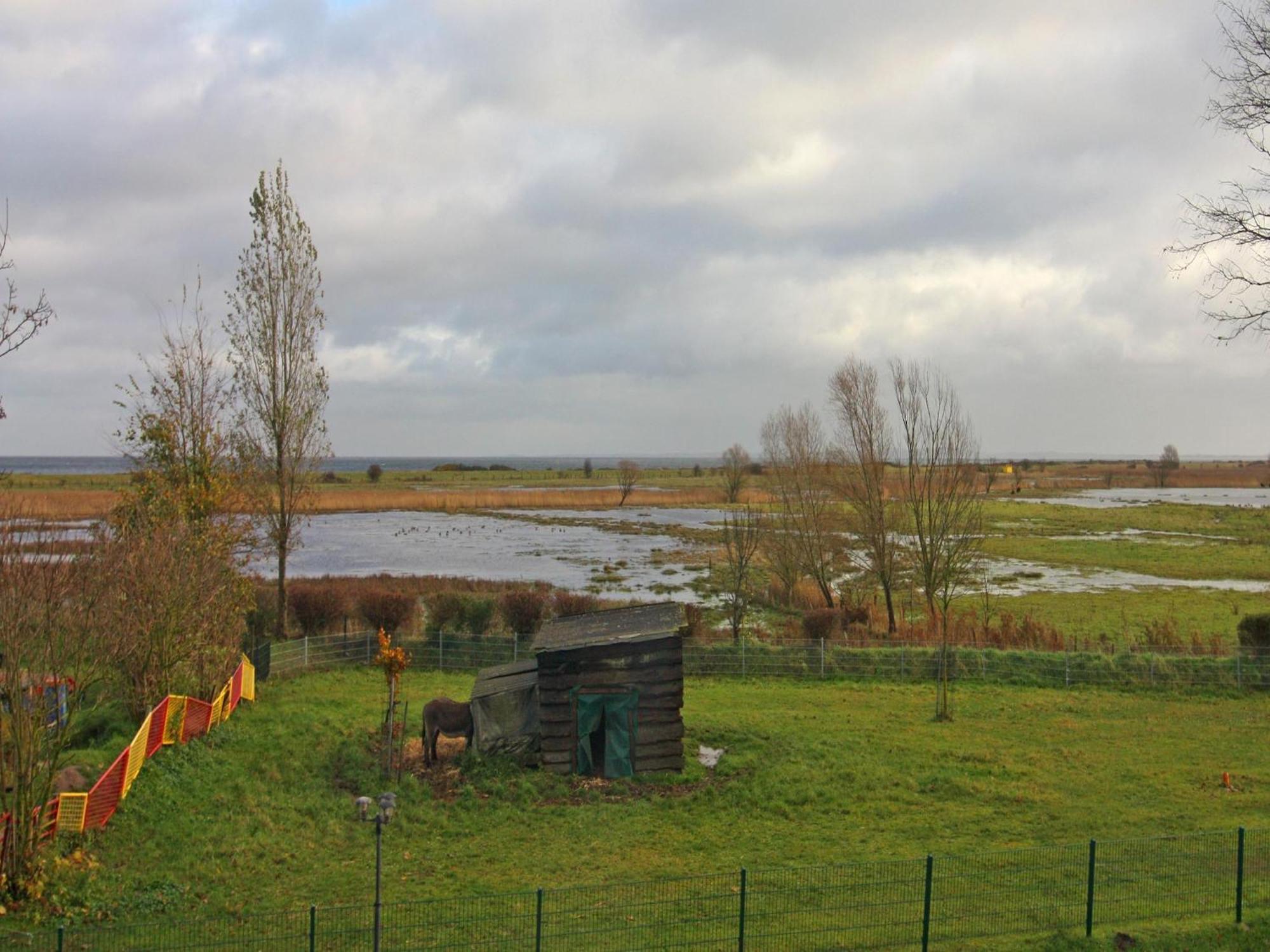 Holiday Complex Schuldt Behrensdorf エクステリア 写真